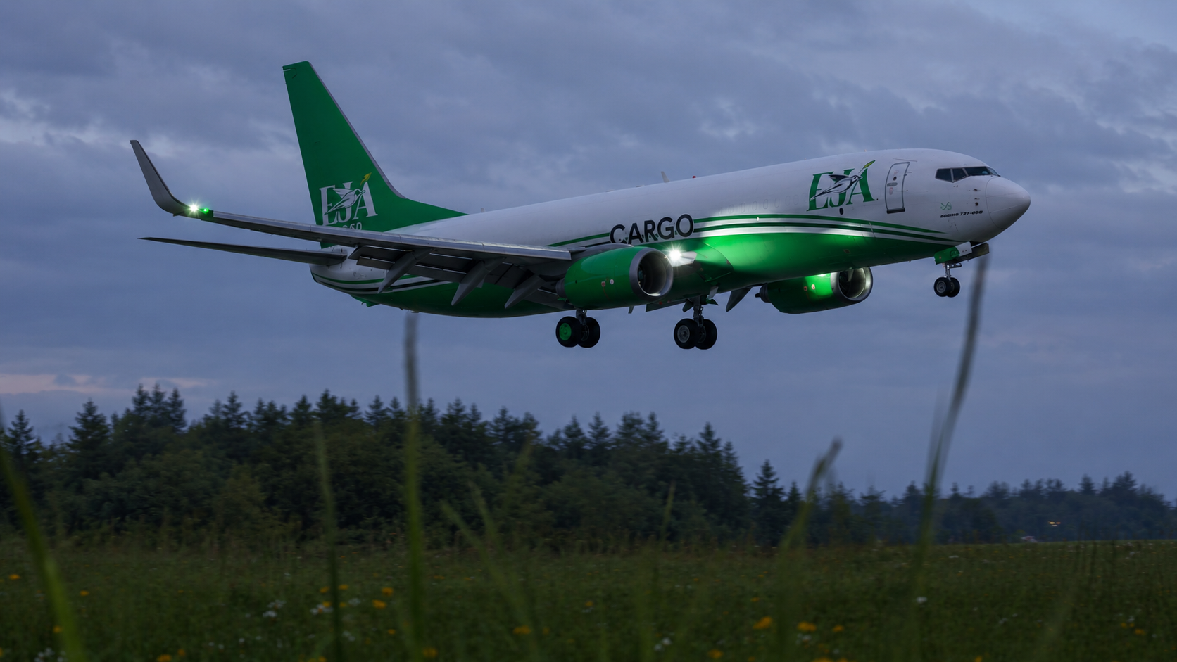 Boeing 737-800BCF