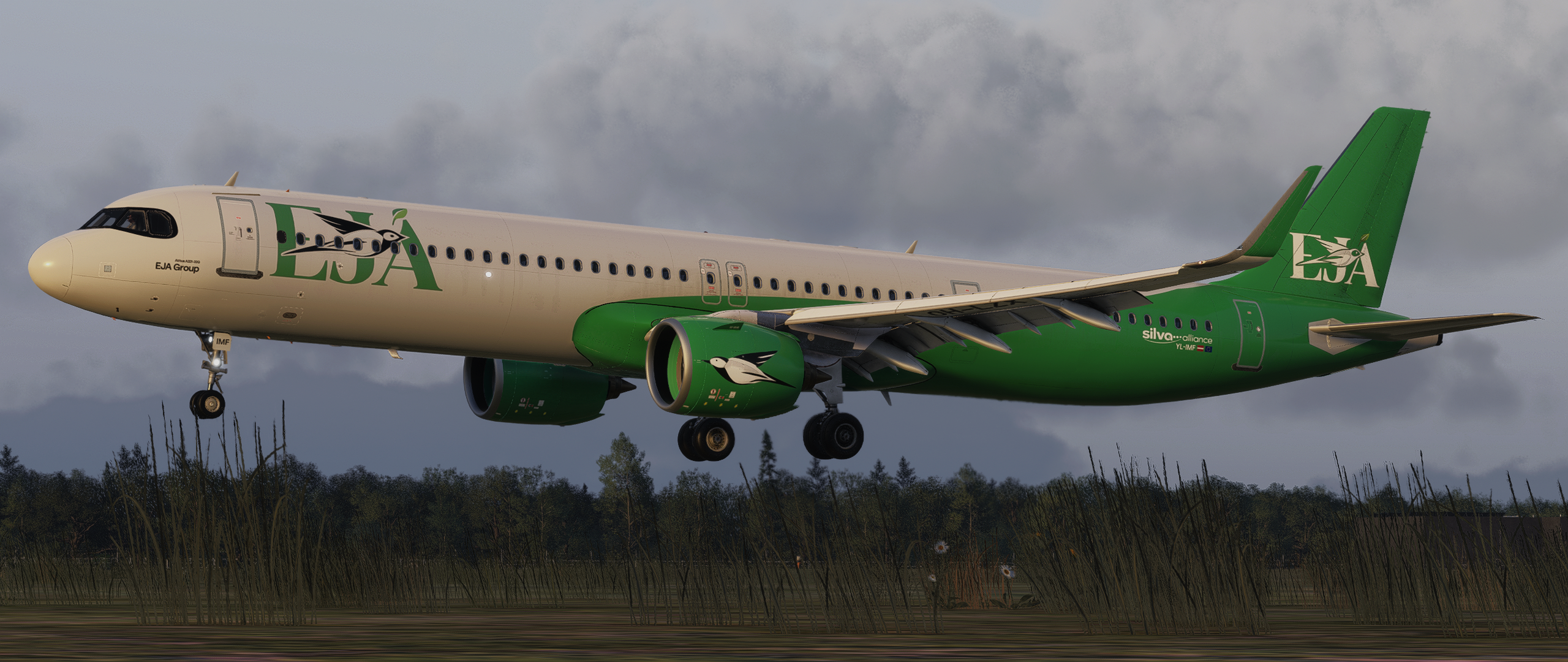 Airbus A321neo