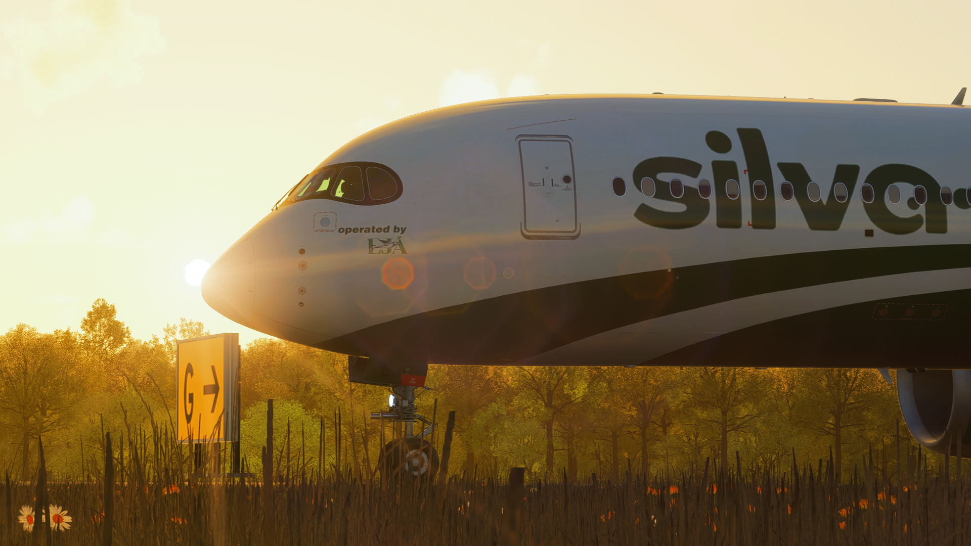 Airbus A350-900